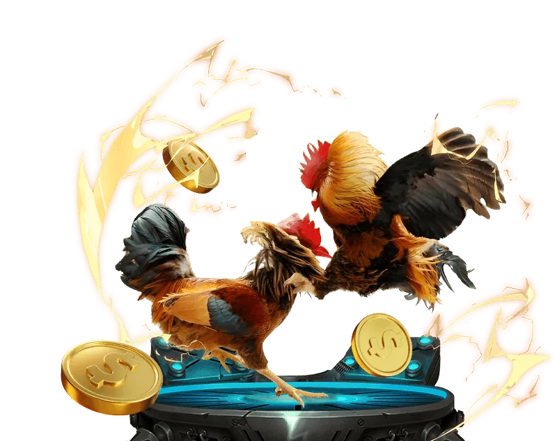 Hình ảnh minh họa các quy tắc và điều kiện cá cược tại nha cai M88